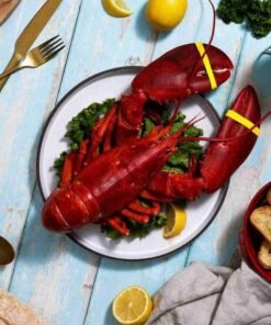 2.5 lb Live Maine Lobster