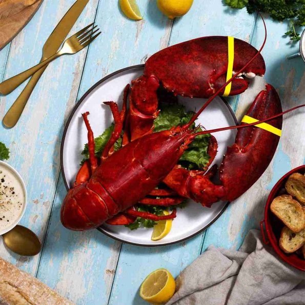 3-lb-Live-Maine-Lobster-595x595-1.jpg